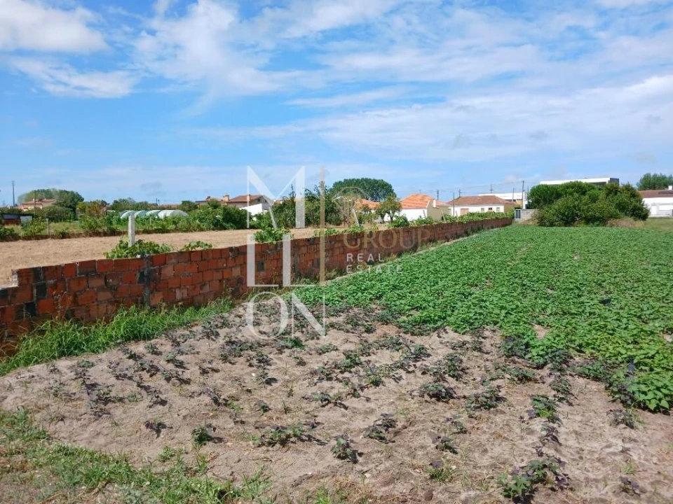 Terreno para Venda em Vagos e Santo António Foto 29