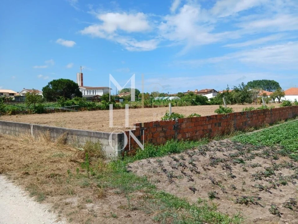 Terreno para Venda em Vagos e Santo António Foto 25