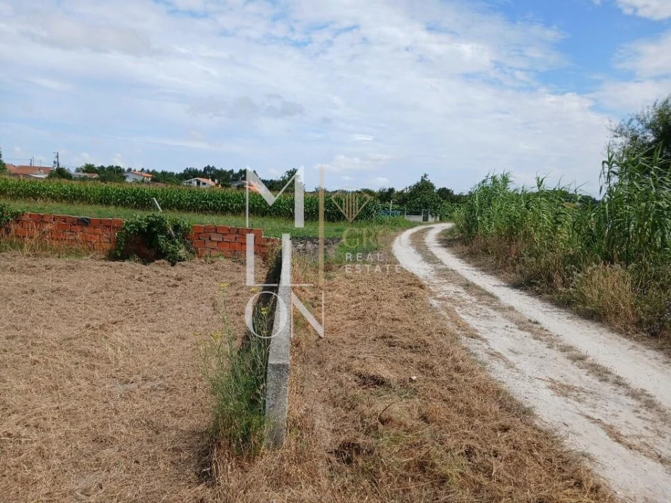 Terreno para Venda em Vagos e Santo António Foto 16
