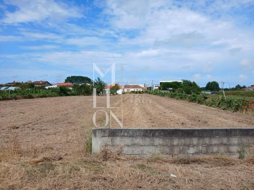 Terreno para Venda em Vagos e Santo António Foto 12