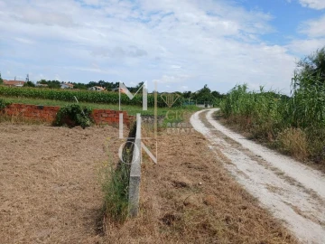 Terreno para Venda em Vagos e Santo António