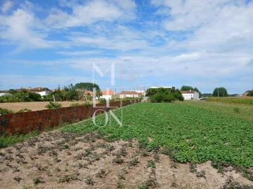 Terreno para Venda em Vagos e Santo António