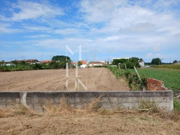 Terreno para Venda em Vagos e Santo António