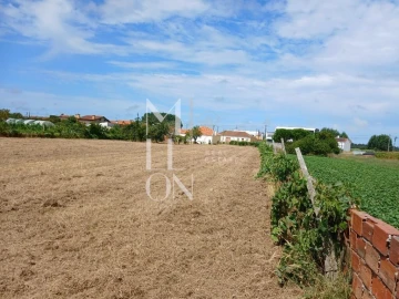 Terreno para Venda em Vagos e Santo António
