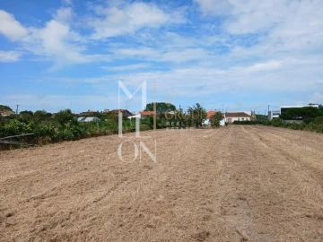 Terreno para Venda em Vagos e Santo António