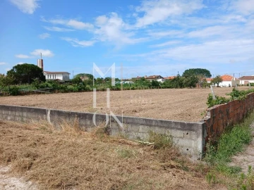 Terreno para Venda em Vagos e Santo António