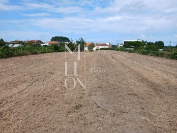 Terreno para Venda em Vagos e Santo António