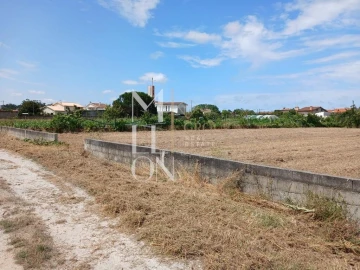 Terreno para Venda em Vagos e Santo António