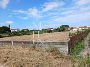 Terreno para Venda em Vagos e Santo António