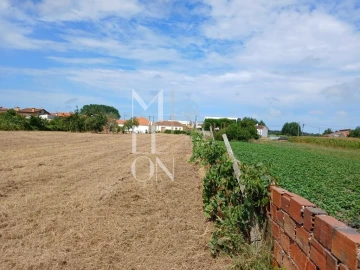 Terreno para Venda em Vagos e Santo António