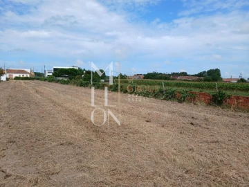 Terreno para Venda em Vagos e Santo António