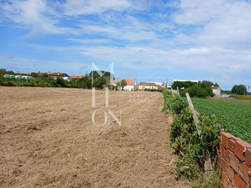 Terreno para Venda em Vagos e Santo António Foto 21