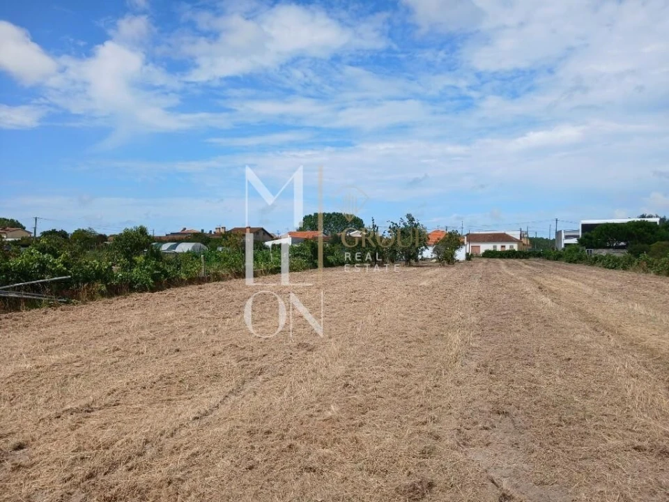 Terreno para Venda em Vagos e Santo António Foto 19
