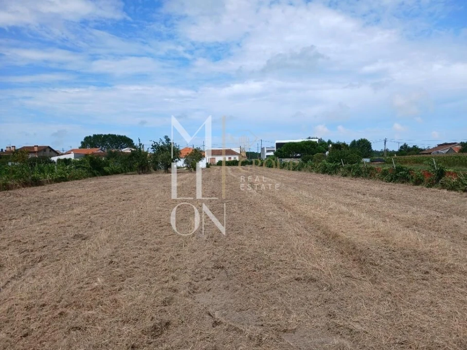 Terreno para Venda em Vagos e Santo António Foto 13