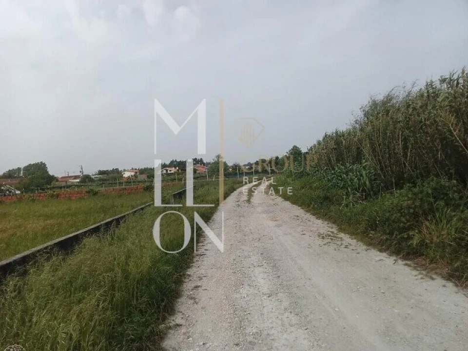 Terreno para Venda em Vagos e Santo António Foto 9