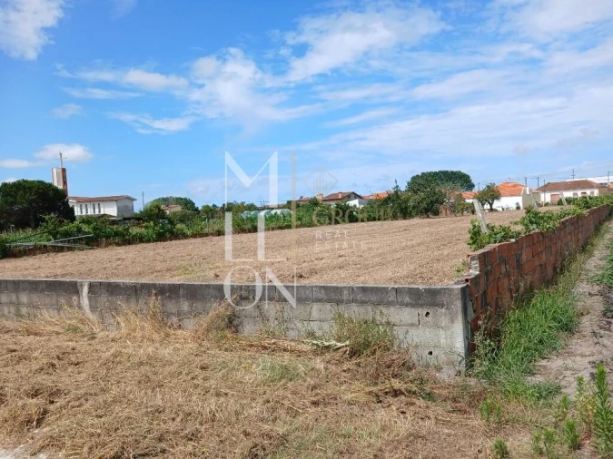 Terreno para Venda em Vagos e Santo António Foto 4