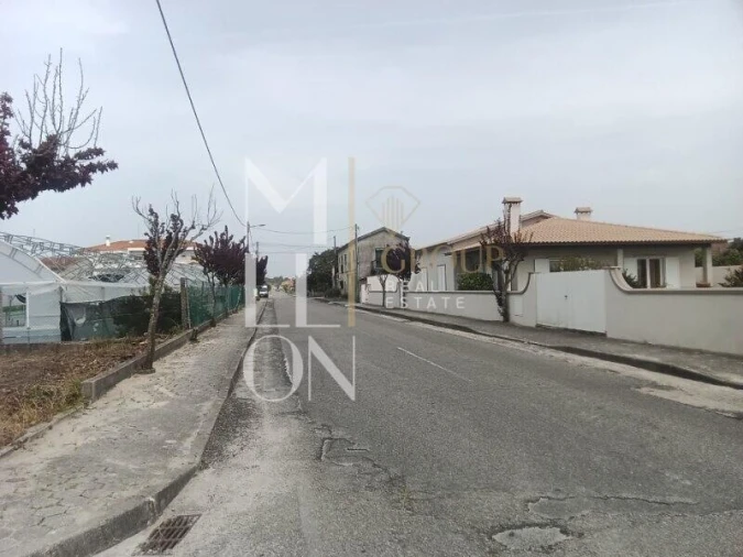 Terreno para Venda em Vagos e Santo António Foto 8