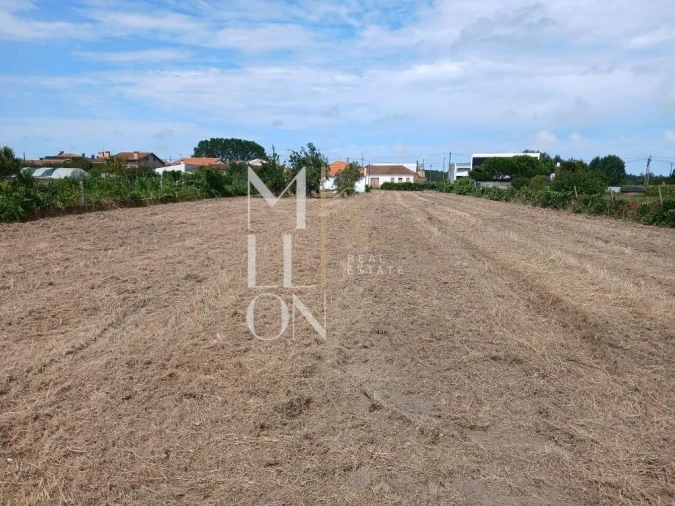 Terreno para Venda em Vagos e Santo António Foto 14