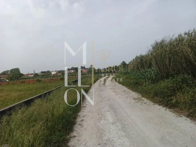 Terreno para Venda em Vagos e Santo António Foto 9