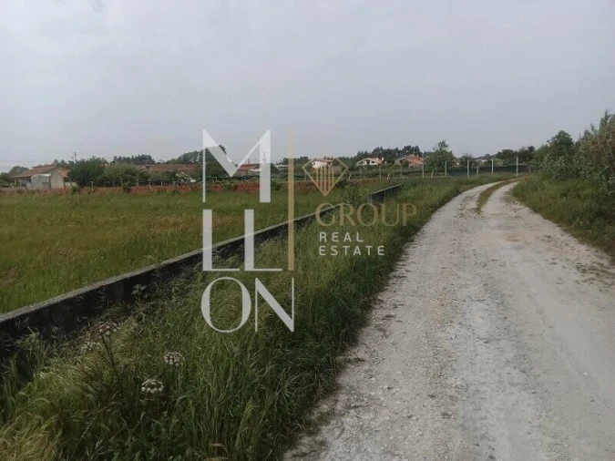Terreno para Venda em Vagos e Santo António Foto 6