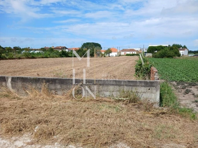 Terreno para Venda em Vagos e Santo António Foto 9