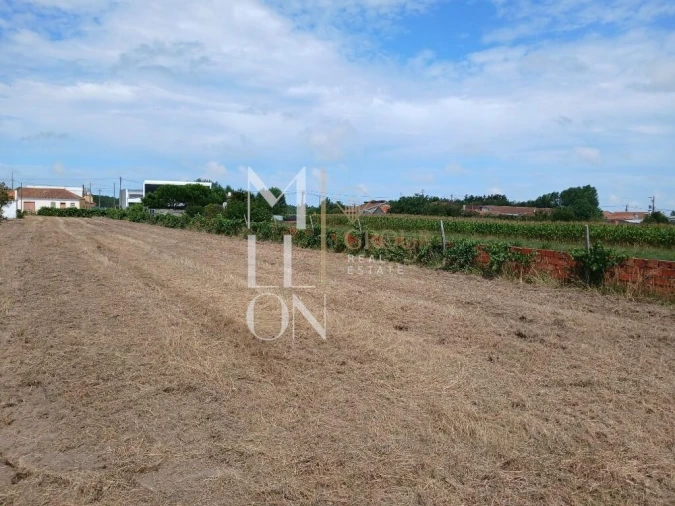 Terreno para Venda em Vagos e Santo António Foto 15