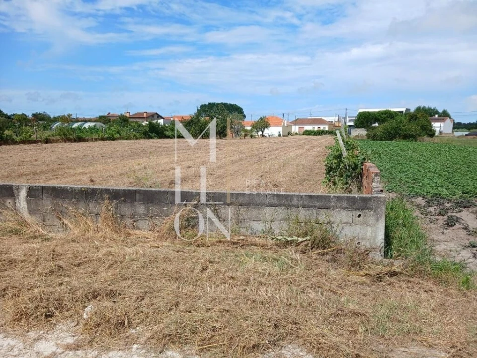 Terreno para Venda em Vagos e Santo António Foto 9