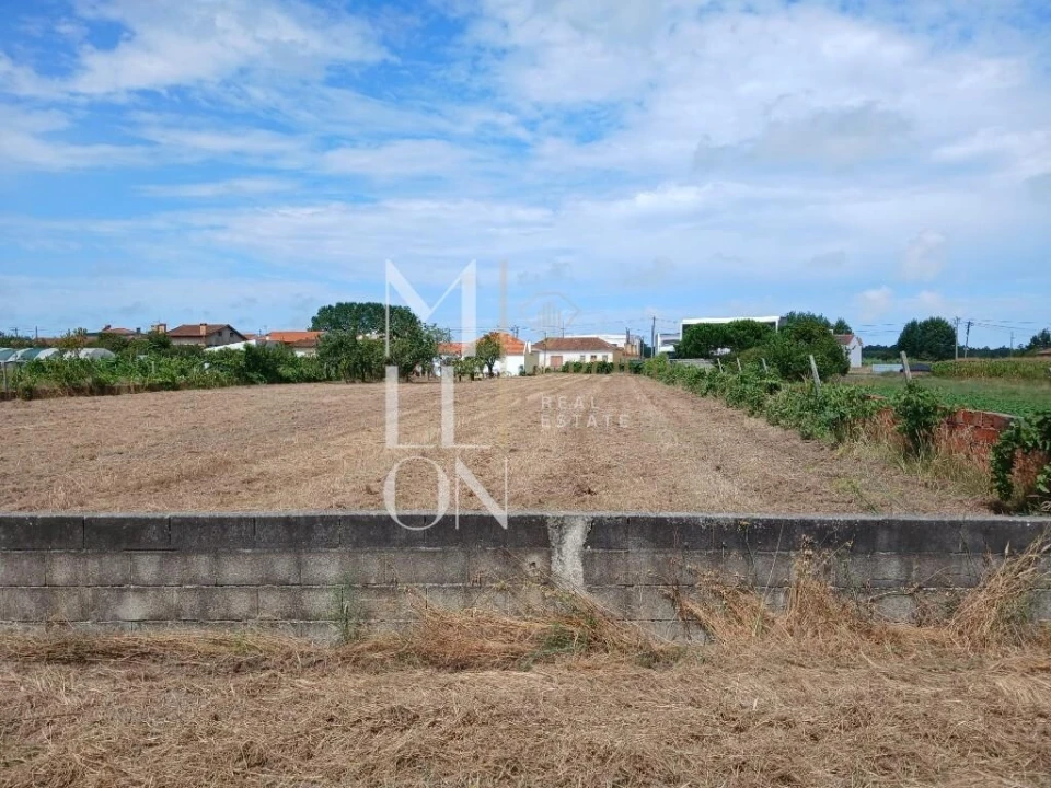 Terreno para Venda em Vagos e Santo António Foto 11