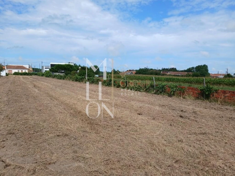 Terreno para Venda em Vagos e Santo António Foto 15