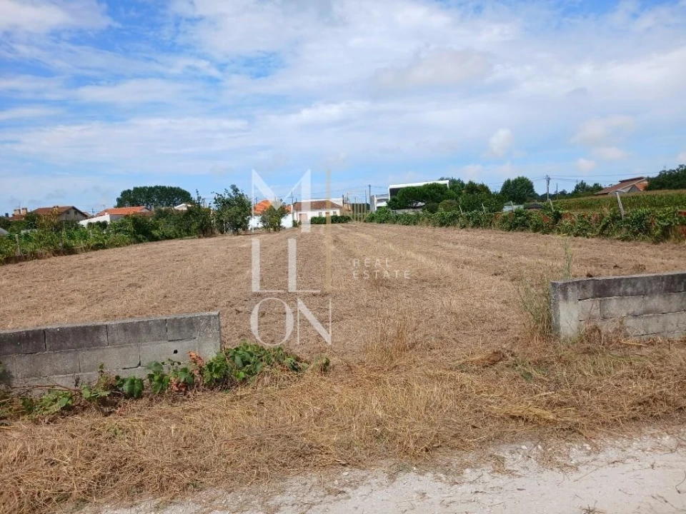 Terreno para Venda em Vagos e Santo António Foto 3