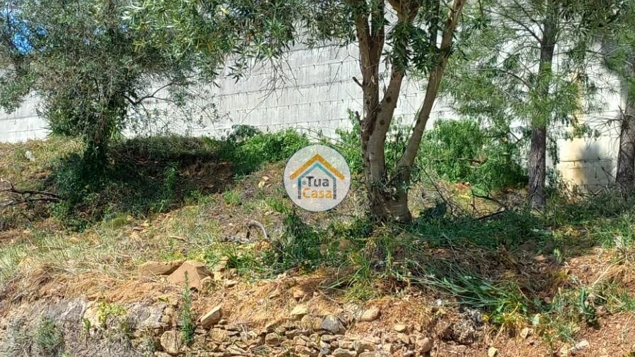 Terreno para Venda em Lousã e Vilarinho