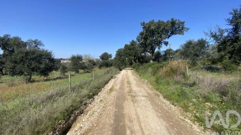 Terreno para Venda em Ponte de Sor, Tramaga e Vale de Açor