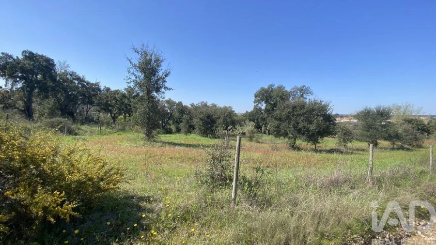 Terreno para Venda em Ponte de Sor, Tramaga e Vale de Açor Foto 7