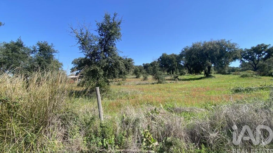 Terreno para Venda em Ponte de Sor, Tramaga e Vale de Açor Foto 5