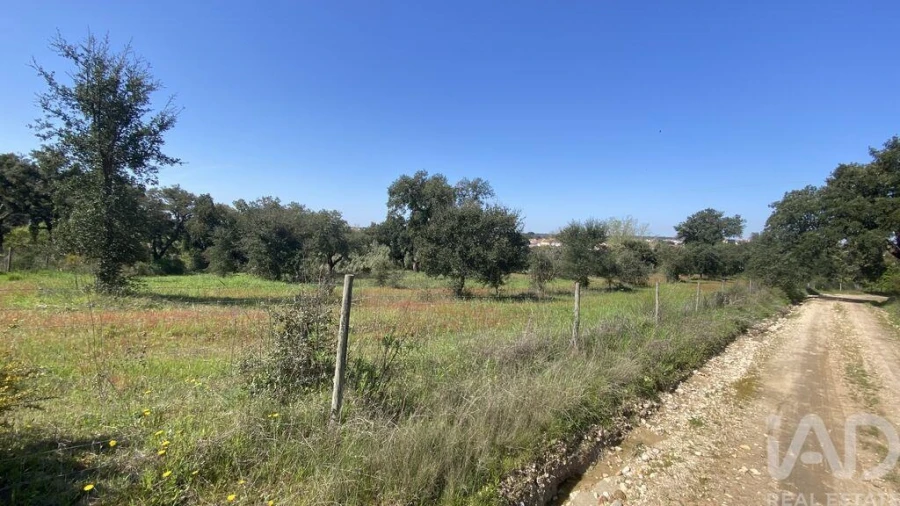 Terreno para Venda em Ponte de Sor, Tramaga e Vale de Açor Foto 8