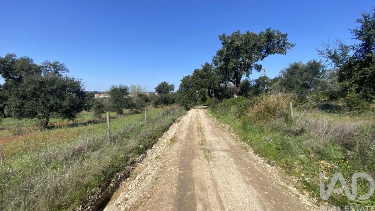 Terreno para Venda em Ponte de Sor, Tramaga e Vale de Açor Foto 10