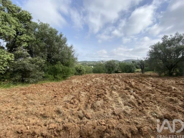 Terreno para Venda em Santa Barbara de Nexe