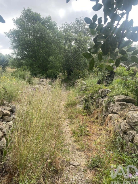 Terreno para Venda em Santa Barbara de Nexe