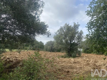 Terreno para Venda em Santa Barbara de Nexe