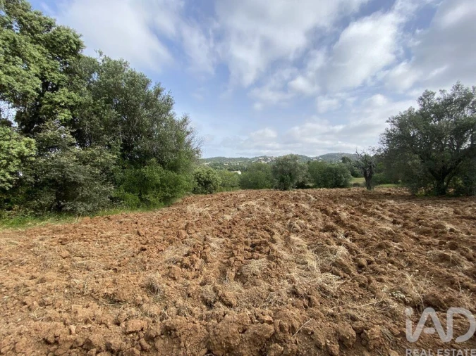 Terreno para Venda em Santa Barbara de Nexe Foto 7