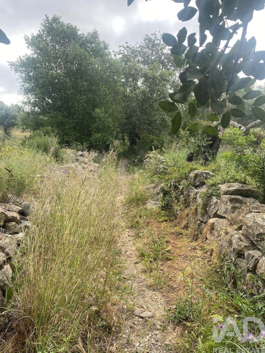 Terreno para Venda em Santa Barbara de Nexe Foto 2
