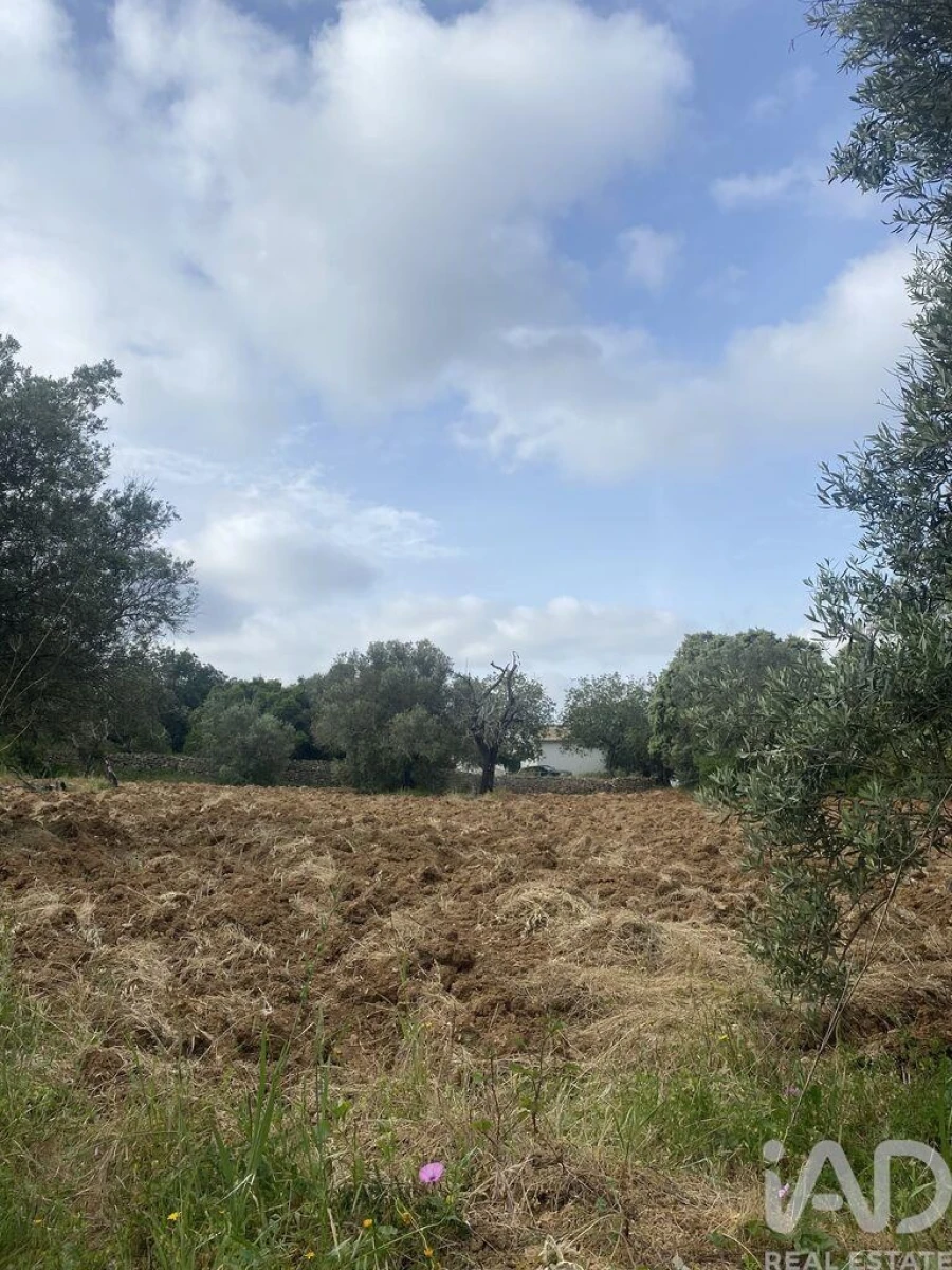 Terreno para Venda em Santa Barbara de Nexe Foto 9