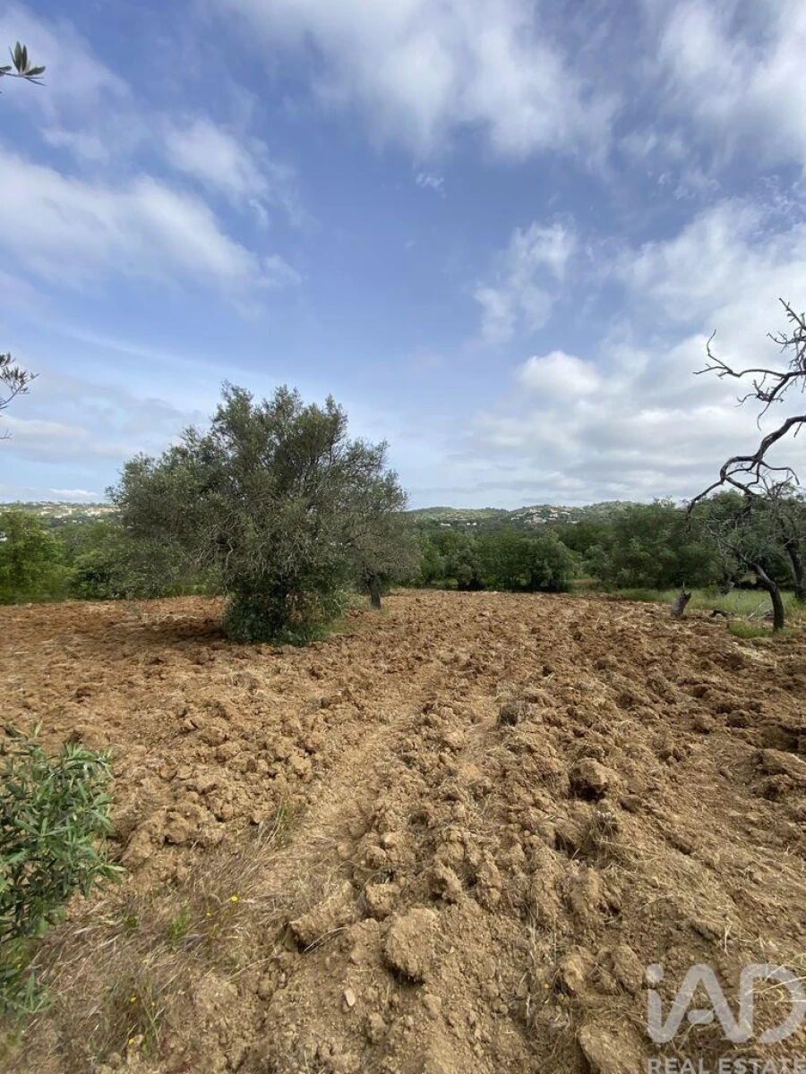 Terreno para Venda em Santa Barbara de Nexe Foto 8