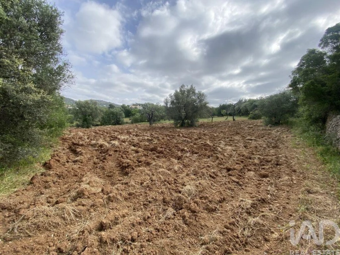 Terreno para Venda em Santa Barbara de Nexe Foto 6