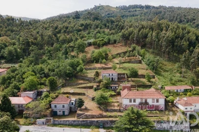 Quinta para Venda em Espadanedo