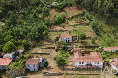 Quinta para Venda em Espadanedo