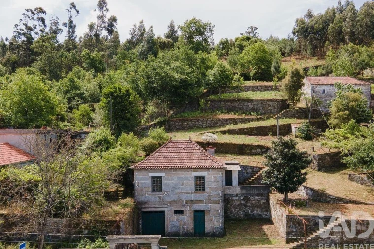Quinta para Venda em Espadanedo Foto 29