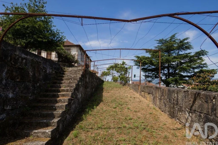 Quinta para Venda em Espadanedo Foto 17