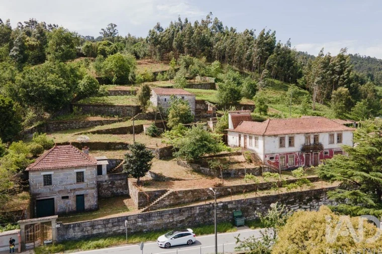 Quinta para Venda em Espadanedo Foto 4