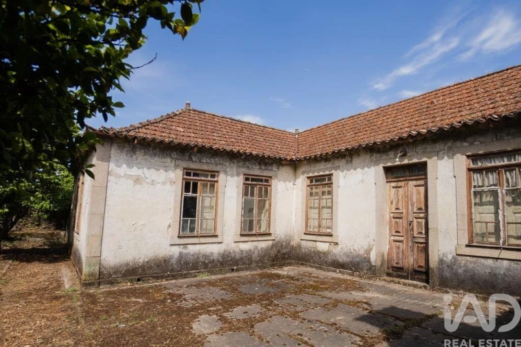 Quinta para Venda em Espadanedo Foto 18